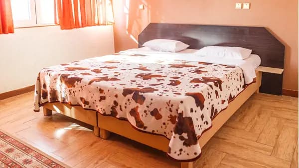 اتاق دو تخته دابل در هتل کاوه اصفهان